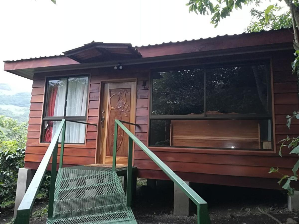 Rancho De Lelo Ecolodge Monteverde Εξωτερικό φωτογραφία