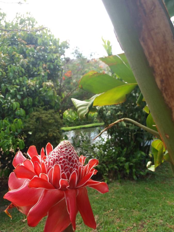 Rancho De Lelo Ecolodge Monteverde Εξωτερικό φωτογραφία