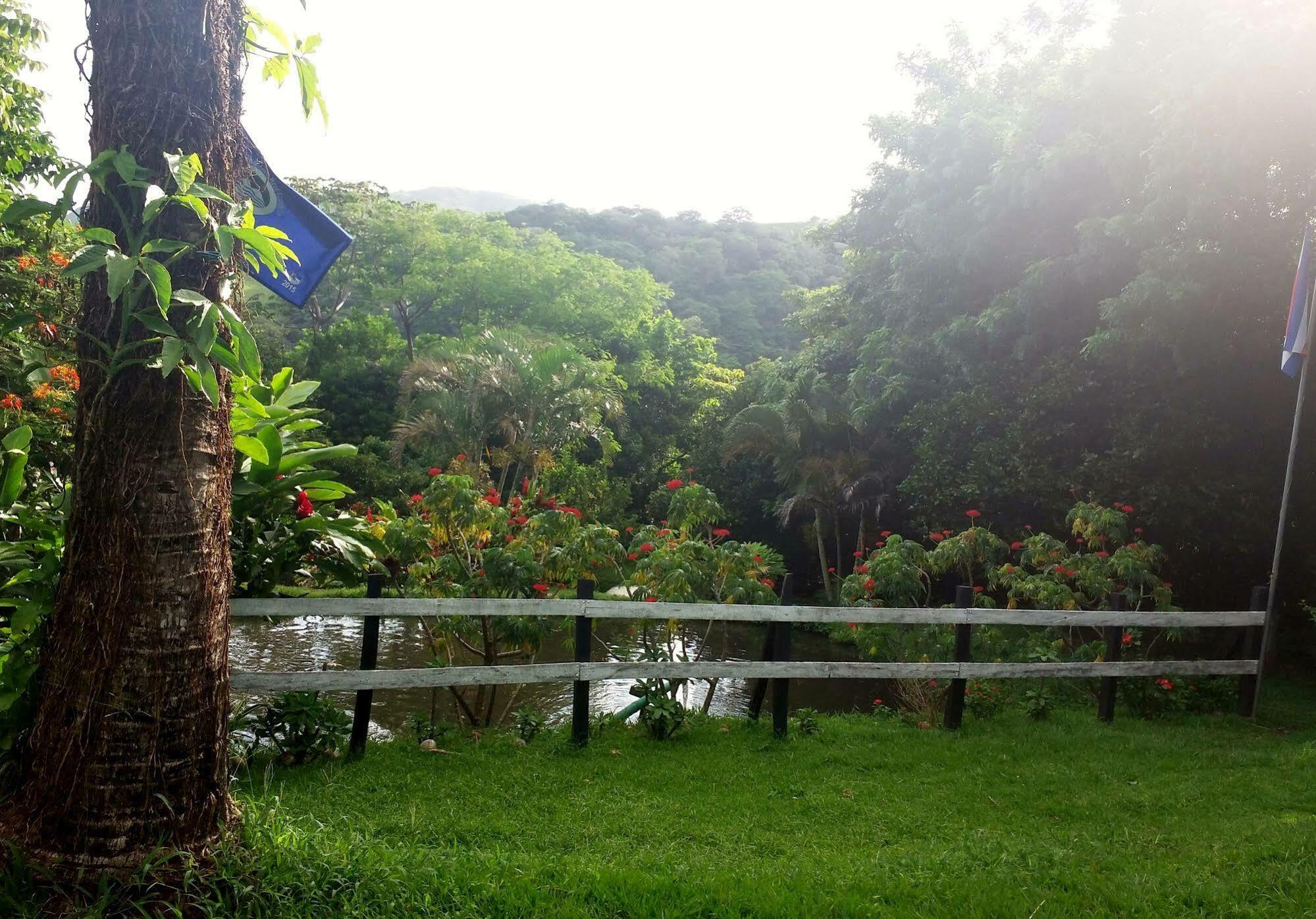 Rancho De Lelo Ecolodge Monteverde Εξωτερικό φωτογραφία