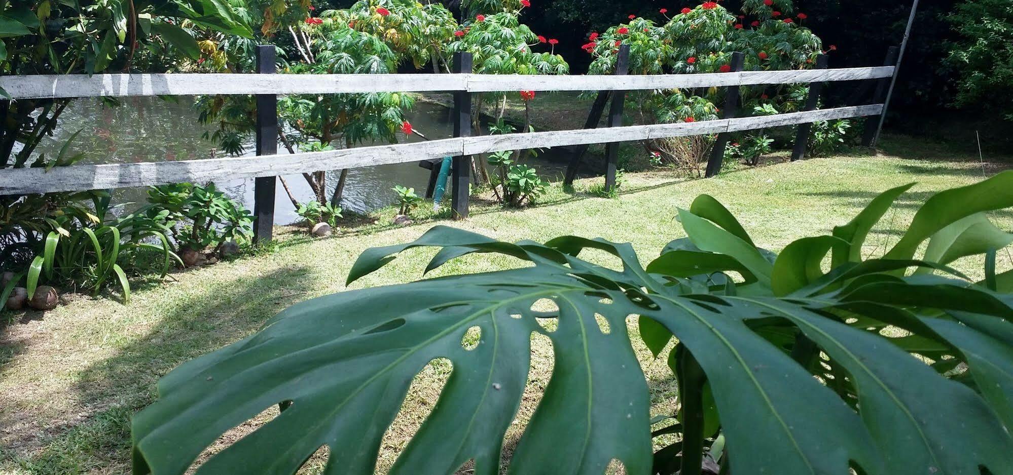 Rancho De Lelo Ecolodge Monteverde Εξωτερικό φωτογραφία