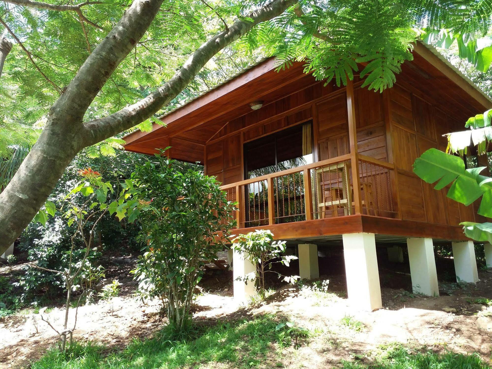 Rancho De Lelo Ecolodge Monteverde Εξωτερικό φωτογραφία
