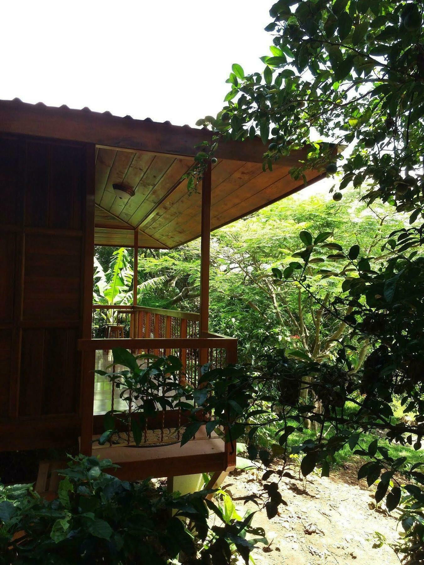 Rancho De Lelo Ecolodge Monteverde Εξωτερικό φωτογραφία