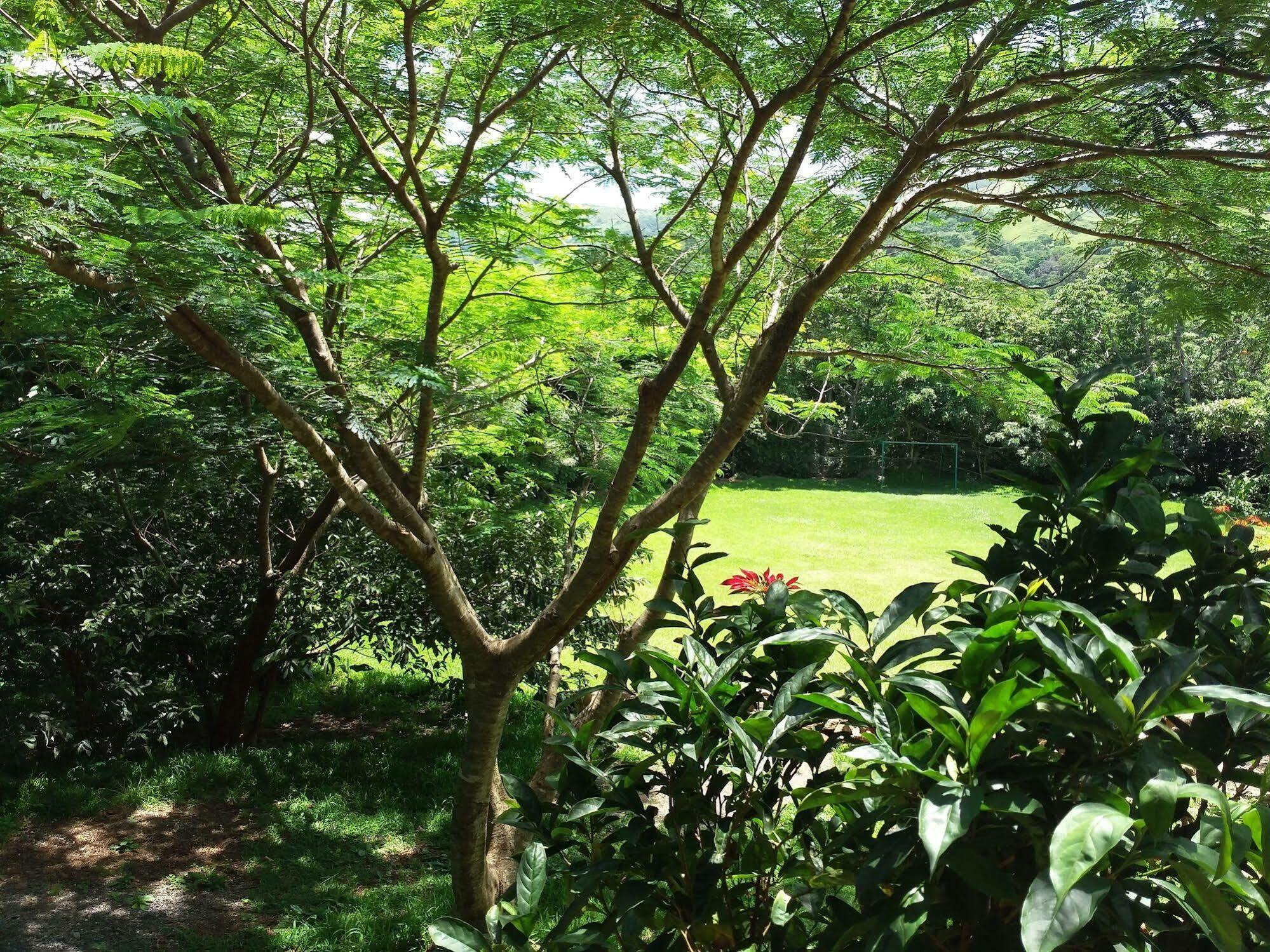 Rancho De Lelo Ecolodge Monteverde Εξωτερικό φωτογραφία