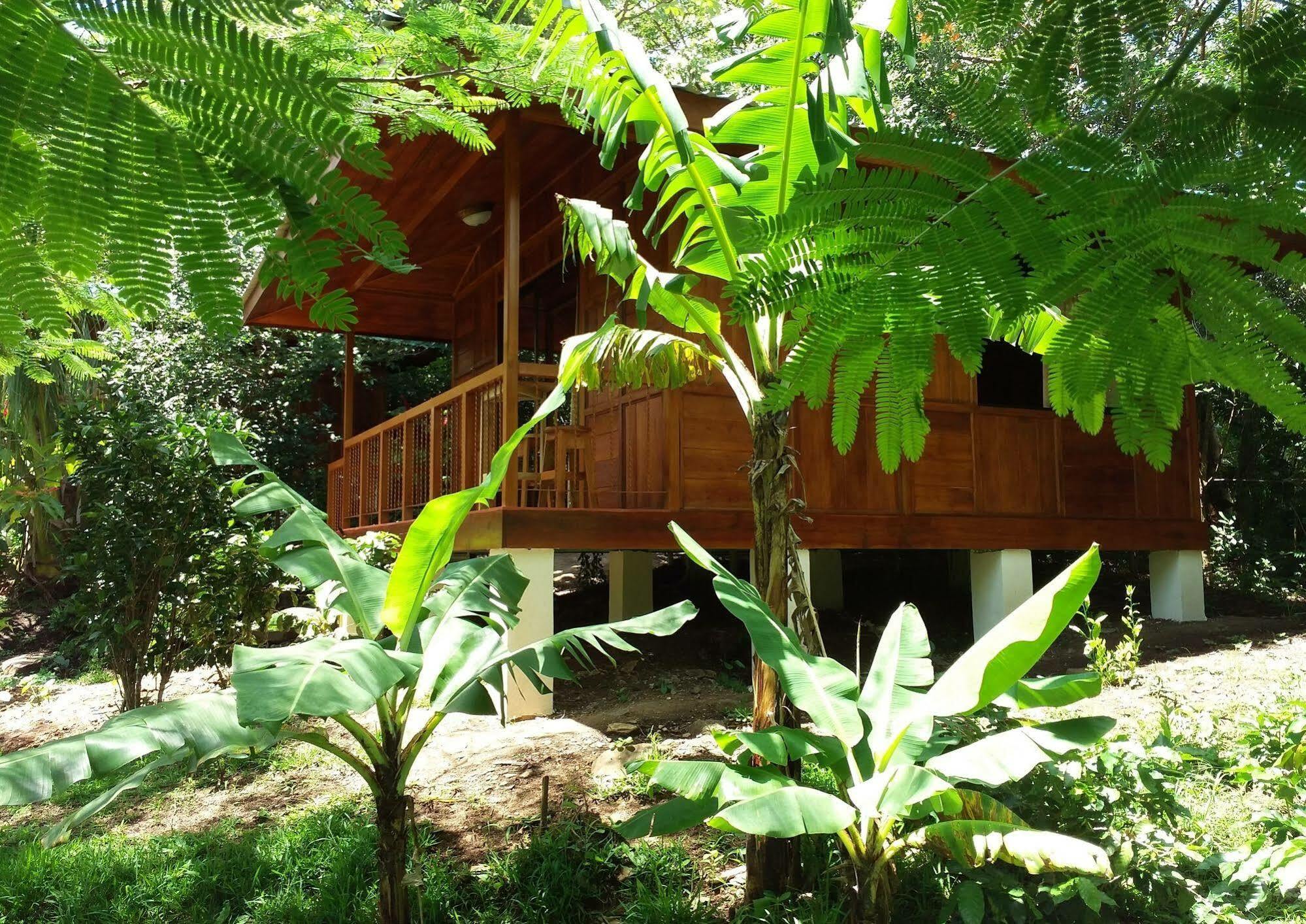 Rancho De Lelo Ecolodge Monteverde Εξωτερικό φωτογραφία