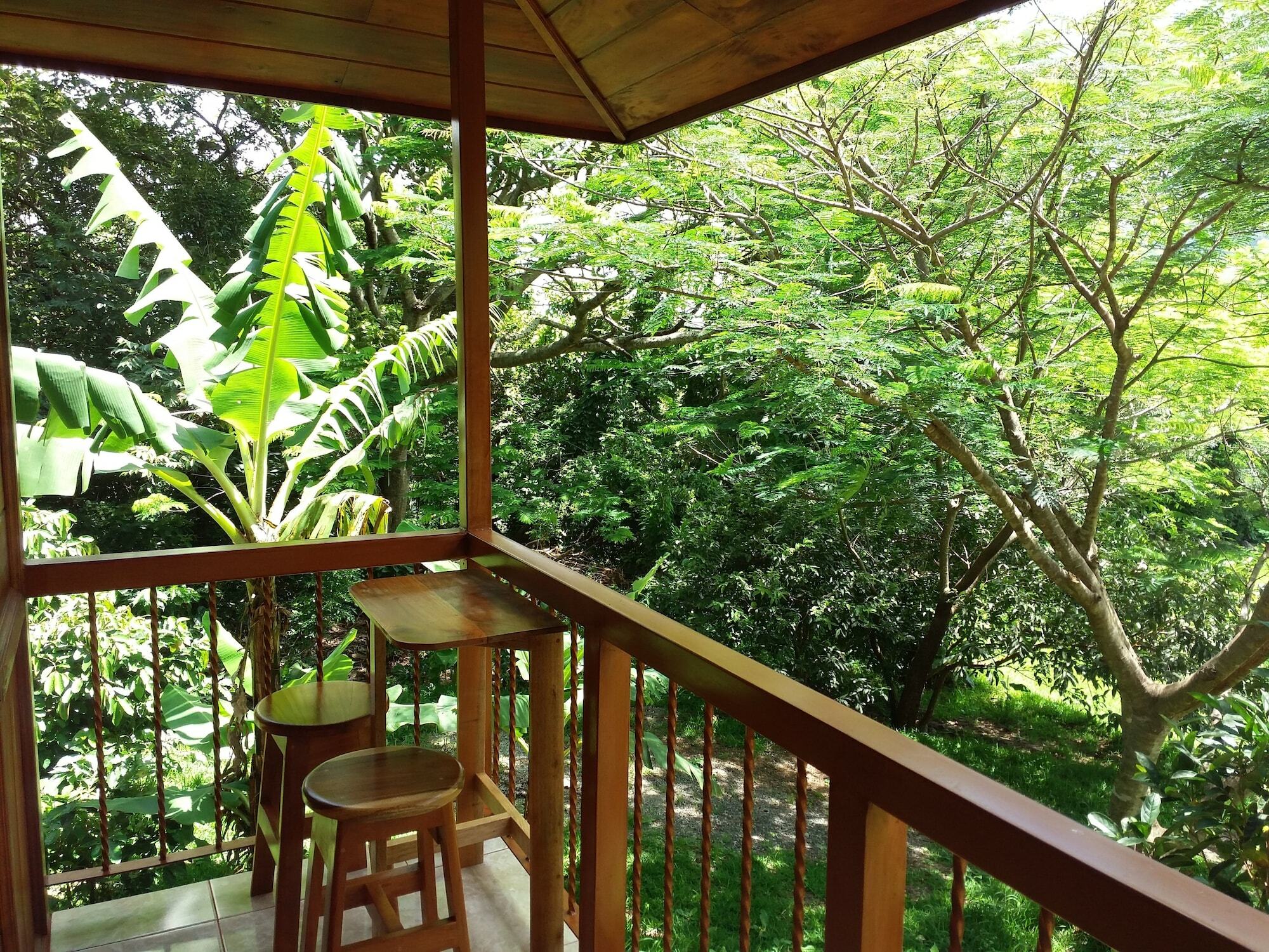Rancho De Lelo Ecolodge Monteverde Εξωτερικό φωτογραφία